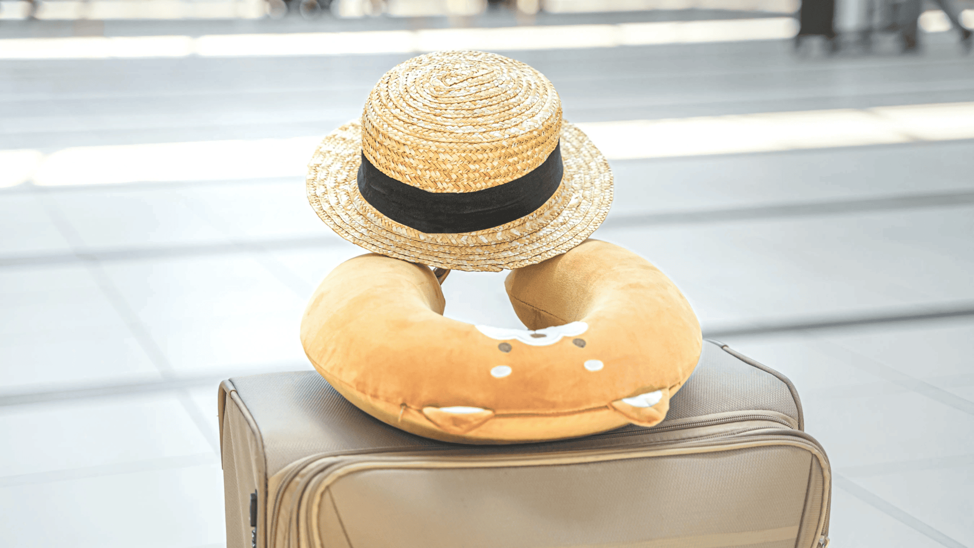 suitcase-bag-in-airport-terminal-funny-travel-head Travel Bag with Pillow and Hat